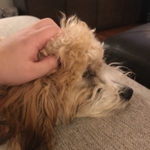 Meet your Posher, Kaitlin